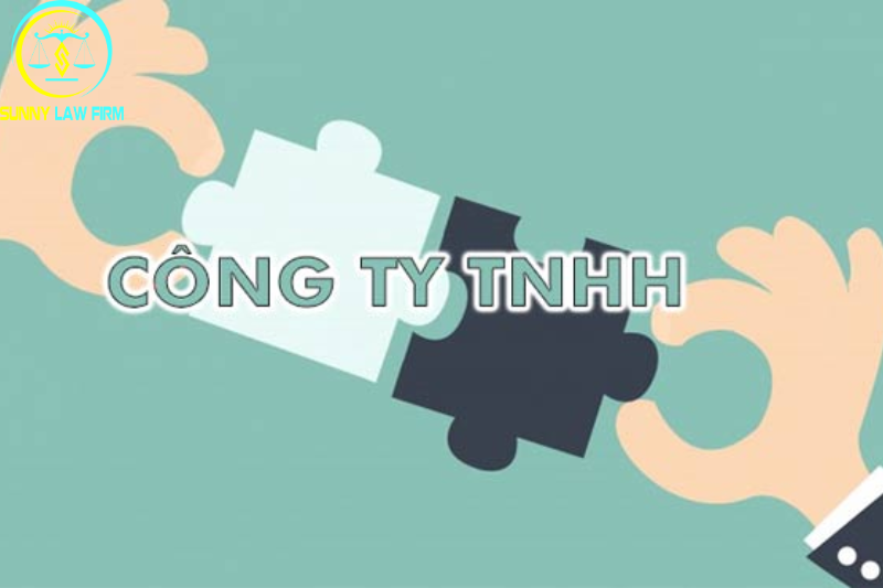 Công ty TNHH là gì 2 công ty TNHH