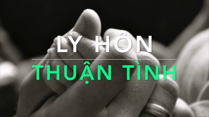Mẫu đơn ly hôn thuận tình điền sẵn mới nhất 3 Đơn ly hôn thuận tình