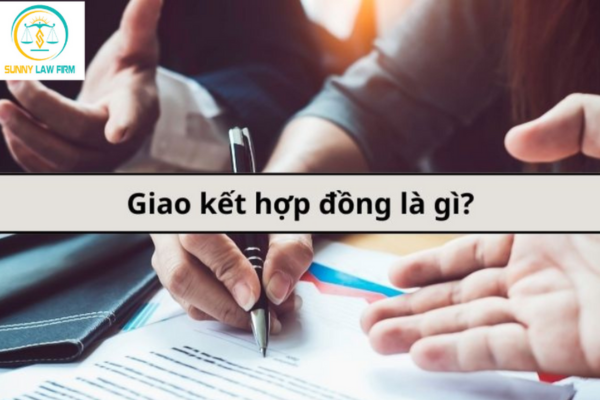 Hình thức hợp đồng là gì? Các loại hình thức hợp đồng lao động 2024? Các loại hình thức giao kết hợp đồng dân sự 2024? 1 hình thức hợp đồng 2024