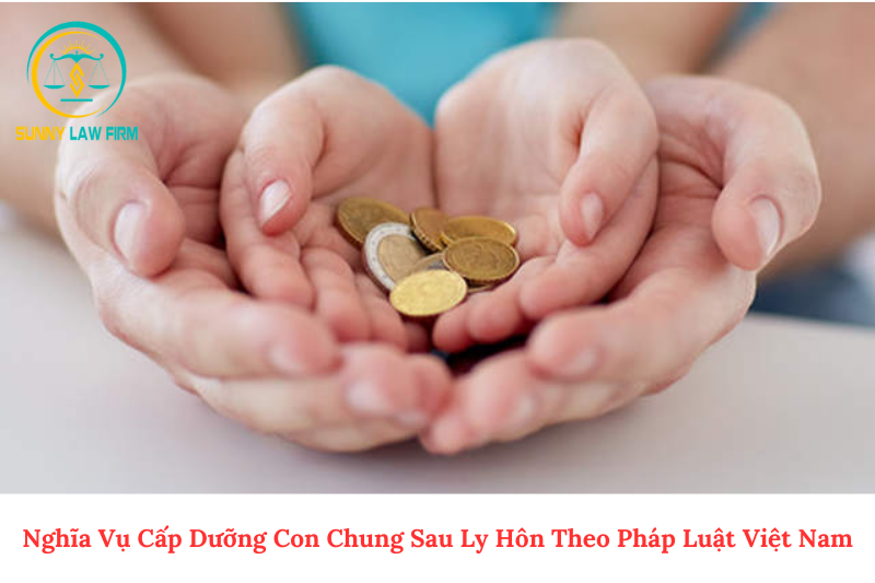 Nghĩa Vụ Cấp Dưỡng Con Chung Sau Ly Hôn Theo Pháp Luật Việt Nam 1 Nghĩa vụ cấp dưỡng con chung sau ly hôn
