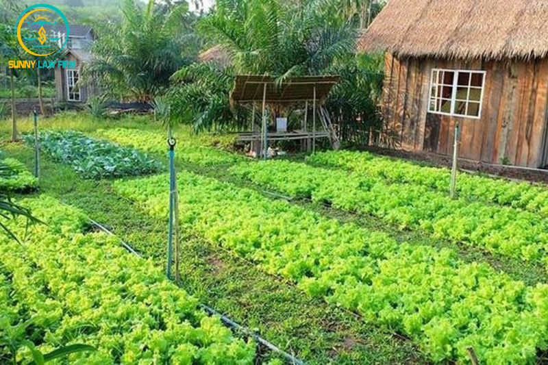 Thời hạn sử dụng đất theo Luật đất đai 2024 2 Thời hạn sử dụng đất khi chuyển mục đích sử dụng đất
