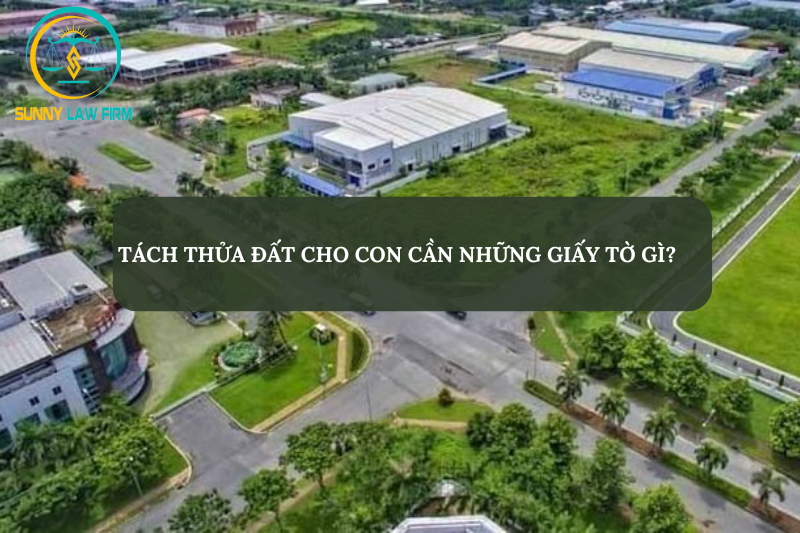 Tách Thửa Đất Cho Con Cần Những Giấy Tờ Gì 2024? 1 Tách thửa đất cho con cần những giấy tờ gì?