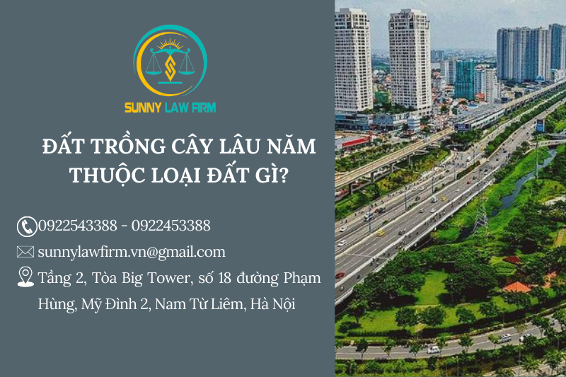 Đất Trồng Cây Lâu Năm Thuộc Loại Đất Gì? 1 Đất trồng cây lâu năm thuộc loại đất gì?