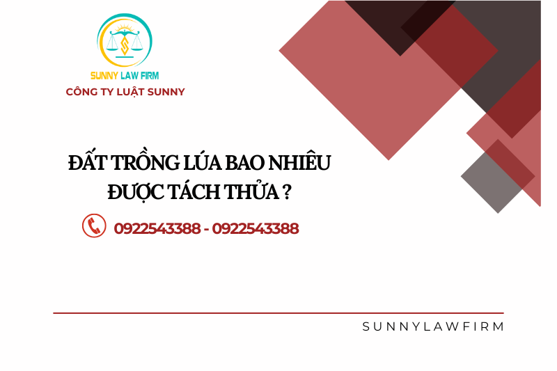 Đất Trồng Lúa Bao Nhiêu Được Tách Thửa ? 1 Đất Trồng Lúa Bao Nhiêu Được Tách Thửa