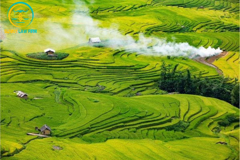 Tách Thửa Đất Ở Là Gì? Thủ Tục Tách Thửa Đất Ở Như Thế Nào Năm 2024? 1 Tách thửa đất ở là gì