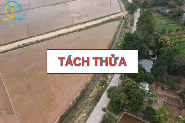 Tách Thửa Đất Mất Bao Lâu 2024 2 Thủ Tục Tách Thửa Đất Như Thế Nào?