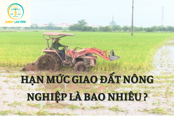 Hạn Mức Giao Đất Nông Nghiệp Là Bao Nhiêu? 1 Hạn Mức Giao Đất Nông Nghiệp Là Bao Nhiêu?