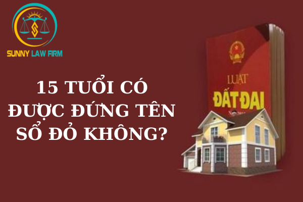 15 tuổi Có Được Đứng Tên Sổ Đỏ Không? 1 15 tuổi Có Được Đứng Tên Sổ Đỏ Không?