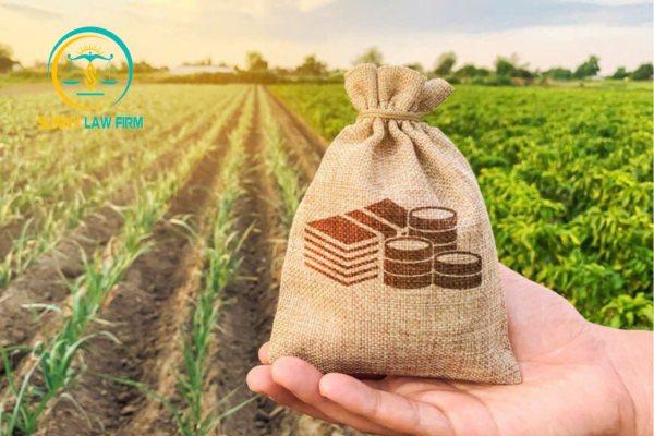 Đóng Thuế Đất Thì Đóng Ở Đâu? 2 Quy định về đóng thuế đất