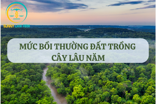 Đất Trồng Cây Lâu Năm Được Đền Bù Bao Nhiêu? 1 Đất Trồng Cây Lâu Năm Được Đền Bù Bao Nhiêu?