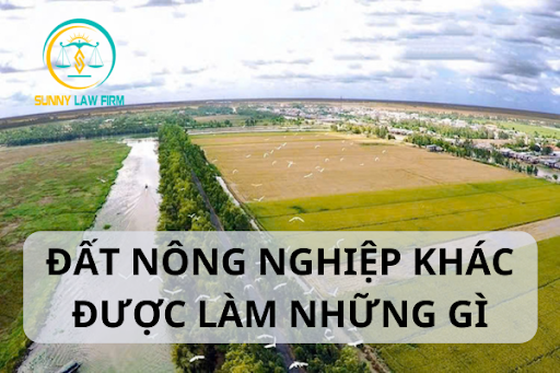 Đất Nông Nghiệp Khác Được Làm Những Gì? 1 Đất Nông Nghiệp Khác Được Làm Những Gì?
