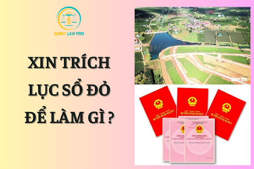 Xin Trích Lục Sổ Đỏ Để Làm Gì? 1 Xin Trích Lục Sổ Đỏ Để Làm Gì?