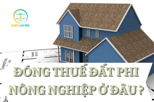 Đóng Thuế Đất Phi Nông Nghiệp Ở Đâu? 1 Đóng Thuế Đất Phi Nông Nghiệp Ở Đâu?