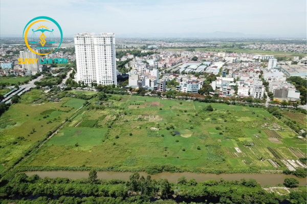 Mua Đất Chịu Thuế Gì? 2 Quy định pháp luật về các loại thuế khi mua đất