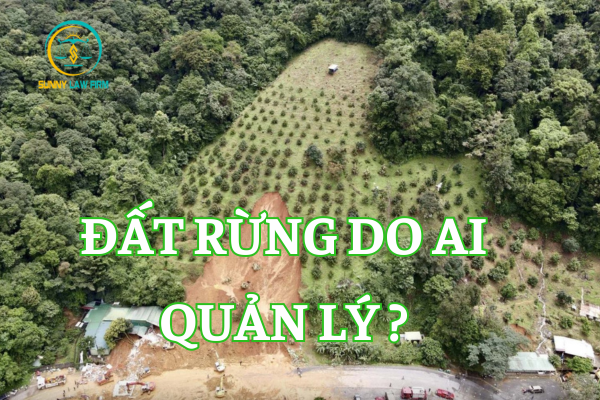 Đất Rừng Do Ai Quản Lý? 1 Đất Rừng Do Ai Quản Lý ?