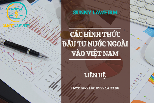 CÁC HÌNH THỨC ĐẦU TƯ NƯỚC NGOÀI VÀO VIỆT NAM THEO QUY ĐỊNH PHÁP LUẬT 19 CÁC HÌNH THỨC ĐẦU TƯ NƯỚC NGOÀI VÀO VIỆT NAM THEO QUY ĐỊNH PHÁP LUẬT